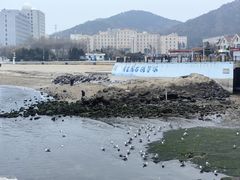 -黑石礁公园