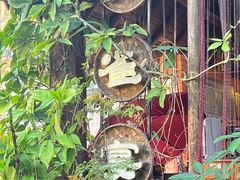 -品德宏·孔雀宴的发源地(金塔园店)