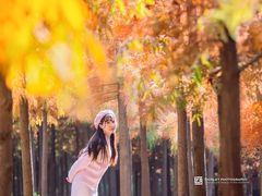 -合肥滨湖国家森林公园