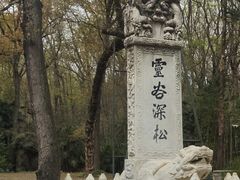 -灵谷景区