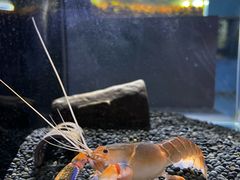 -重庆欢乐海底世界