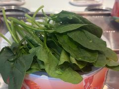 -龍歌自助小火锅(芝罘万达店)