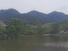 -黄陂区野村谷景区