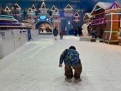 -世界之窗阿尔卑斯冰雪世界