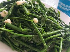 五指山野菜-阿清嫂农家乐.黎窑烤鸡