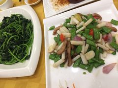 -姚林轩