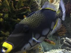 -福州罗源湾海洋世界旅游区