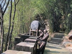 -铁山坪森林公园