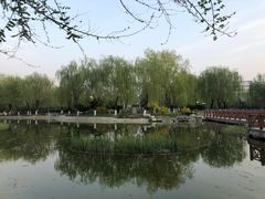 -丰台科技园生态主题公园