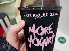 -茉酸奶(城市集市龙之梦店)