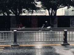 -马王庙刀削面馆(四川省交通学院宿舍店)