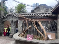 -夹夹大·蟹蟹大排档(财富又一城店)