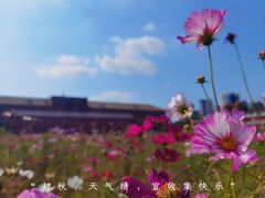 -辽宁大学(崇山校区)