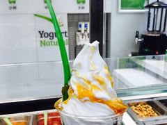 -Salud撒露欧洲冻酸奶(798艺术区店)