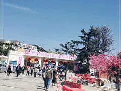 -昆明动物园