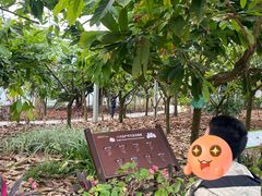 -歌斐颂巧克力小镇