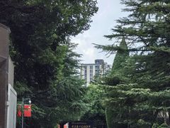 -宋庆龄陵园