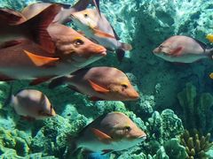 -福州罗源湾海洋世界旅游区