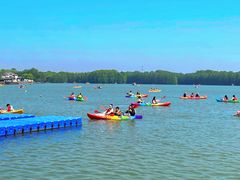 -上海海湾国家森林公园