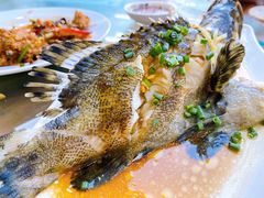 石斑鱼-四川人郑霞海鲜