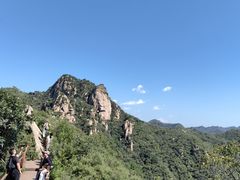 -大岭沟猕猴桃谷风景区