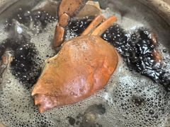 -老财炒饭·熟地蟹·冬瓜蟹