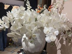 -翡翠鸟精品泰国菜(北辰财富中心店)