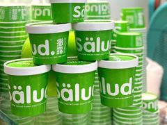 -Salud撒露欧洲冻酸奶(蓝色港湾店)