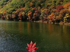 -龙道沟景区