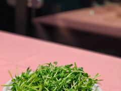 豆苗-龙鲜会·澳门生鲜火锅(诚品店)