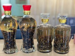 -青澳湾北回归线广场