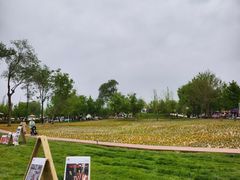 -辛庄国际文化艺术区