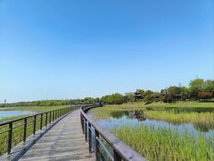 -苏州太湖湖滨国家湿地公园