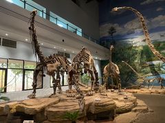 -自贡恐龙博物馆