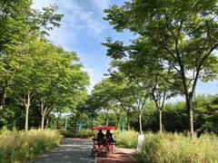 -上海长兴岛郊野公园