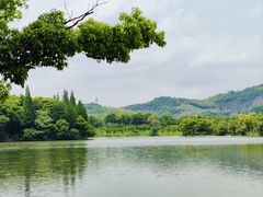 -慈城古县城景区