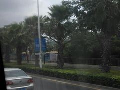 -三亚湾红树林度假世界(木棉酒店)