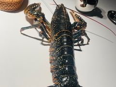 -Oyster Talks 四度蚝法餐厅