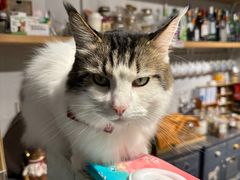 -小时光咖啡馆(北锣鼓巷店)