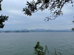 -梦姑塘文化公园