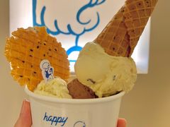 -海比甜店·意式手工冰激淋happy habit gelato