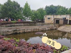 -合肥野生动物园