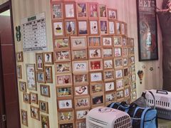 -宠物兔专门店(天丰利市场店)