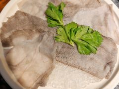 -成渝龙火锅(都江堰店)