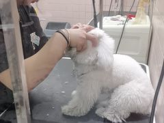 -FAELING PETS美天灵宠物(富力广场店)