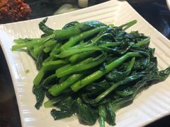 -望京一号(菜户营店)