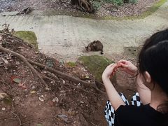 -普陀山风景名胜区-法雨禅寺
