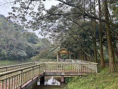-鼎湖山风景区