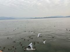 -宝安西湾红树林湿地公园