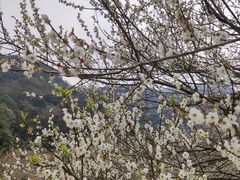 -广州市石门国家森林公园